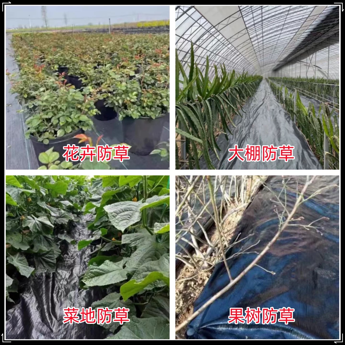 辽源市果树反光膜防草布 - 厂家