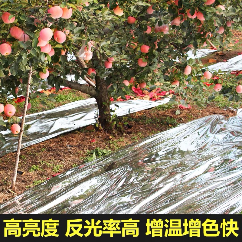 辽源市货车苫盖膜果树反光膜 - 厂家